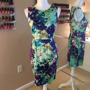 Covington women’s dress sizes 6P